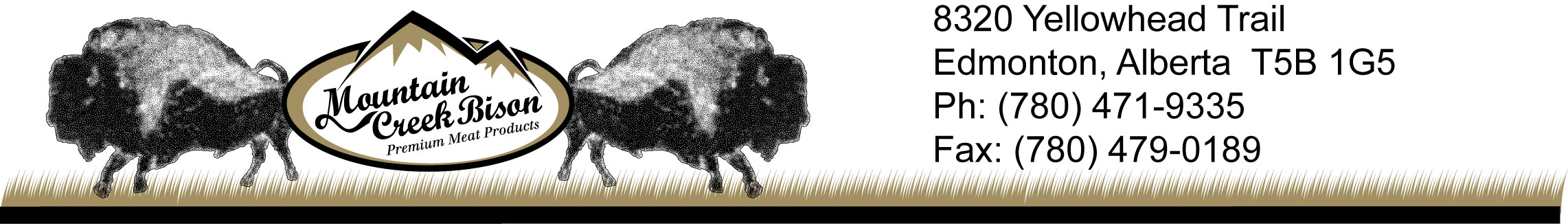 Mountain Creek Bison